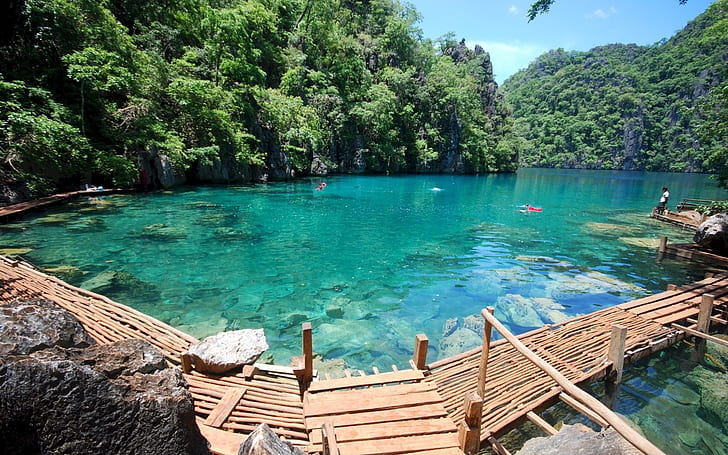 Kayangan Lake Coron Island, green leaf forest, lake, island, kayangan, coron, nature and landscape, HD wallpaper