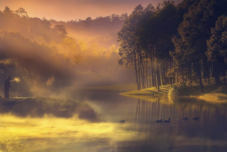 paisagem, rio, névoa, floresta, pessoas, pato, nascer do sol, HD papel de parede
