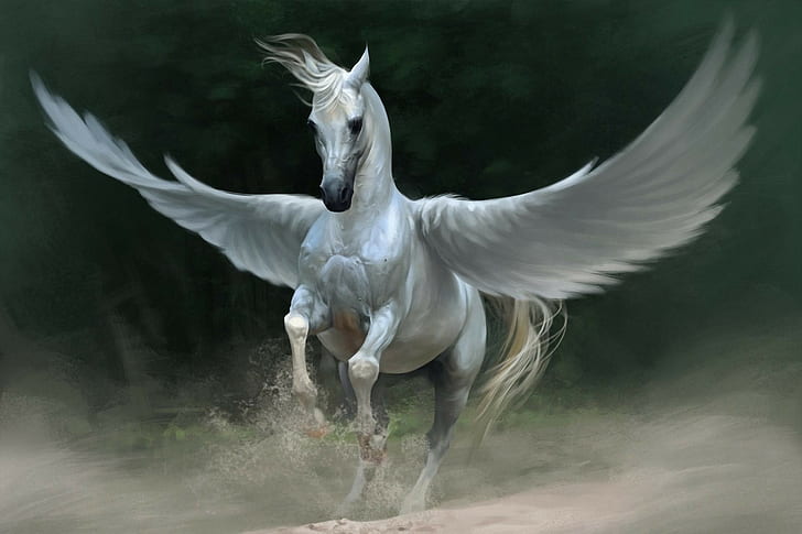Pegasus Kuda Sayap Wallpaper Hd Wallpaperbetter