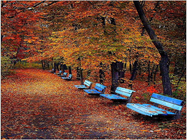 autumn benches SEATS FOR ALL MY DN FRIENDS Nature Other HD Art , autumn, leaves, fall, Bulgaria, benches, blue benches, HD wallpaper