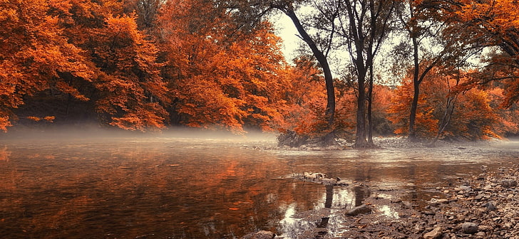 オレンジの葉の木、昼間のphotogrpahy、風景、自然、秋、川、ギリシャ、森林、霧、水、木、mberの間に白い空の下の水域の近くの木、 HDデスクトップの壁紙