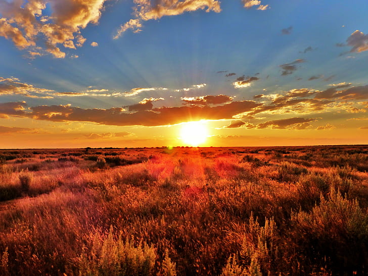 campo di erba durante il tramonto, erba, campo, sud africa, namibia, alba tramonto, tramonto, natura, sole, luce del sole, paesaggio, estate, scena rurale, all'aperto, cielo, alba - Alba, crepuscolo, giallo, paesaggi, bellezza naturale,prato, nuvola - Cielo, Sfondo HD