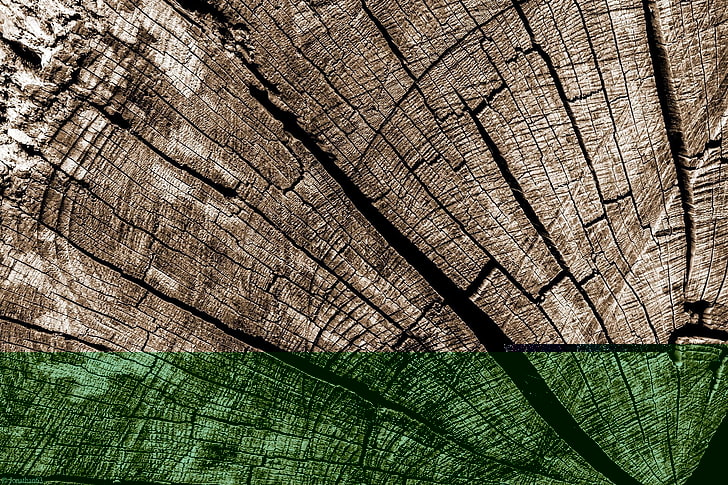 brauner Baumstamm, Holz, Holzoberfläche, Muster, Textur, braun, rissig, Sepia, HD-Hintergrundbild