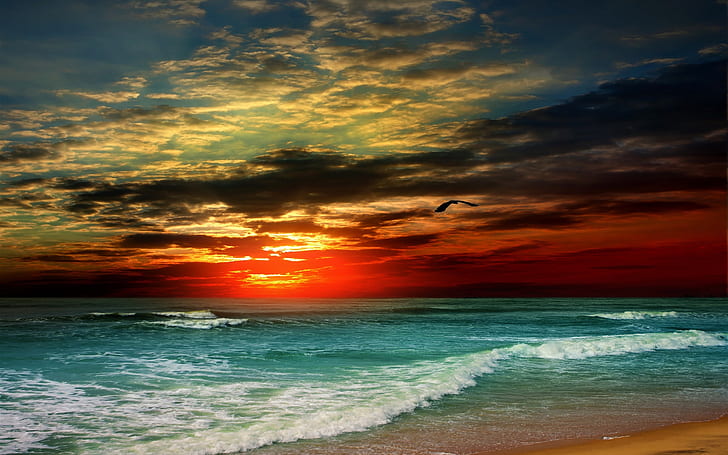 Sonnenuntergang, Strand, Meer, Wellen, tropisch, Wolken, Vogel, Sonnenuntergang, Strand, Meer, Wellen, tropisch, Wolken, Vogel, HD-Hintergrundbild