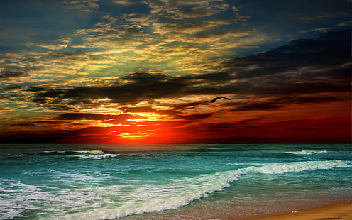 Закат, пляж, море, волны, тропический, облака, птица, Закат, пляж, море, волны, тропический, облака, птица, HD обои HD wallpaper