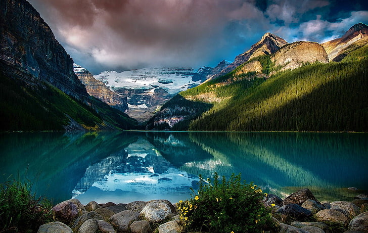Gewässer, Fotografie, Natur, Landschaft, See, Berge, Wald, Spiegelbild, ruhiges Wasser, Schnee, Wolken, Wildblumen, Lake Louise, Alberta, Kanada, HD-Hintergrundbild