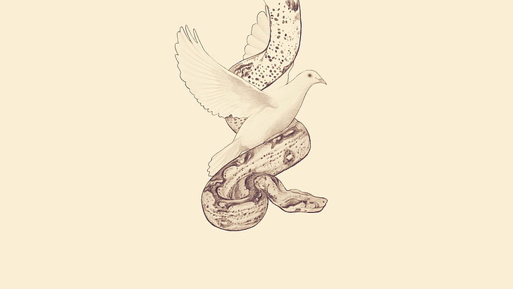 mythology, dove, serpent, HD wallpaper