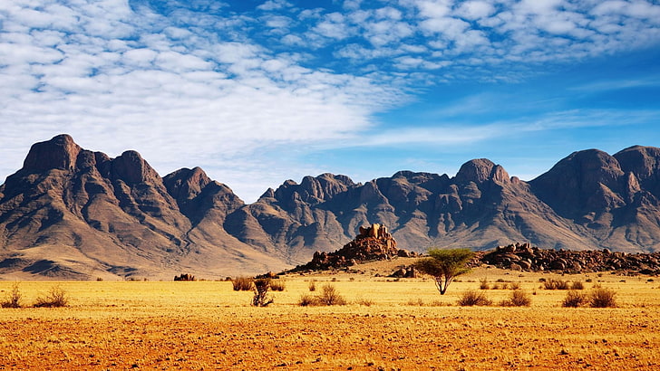 vast desert, mountains, desert, tree, bushes, HD wallpaper