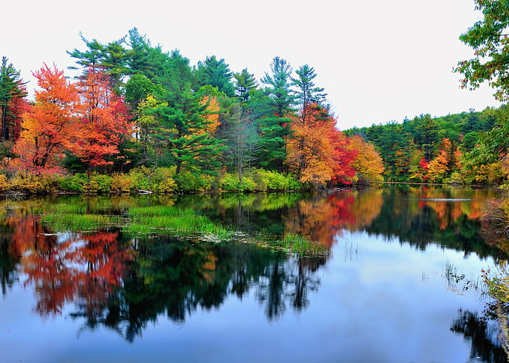 Photo de ciel, lac, eau, forêt traversant un lac calme, eau, rivière, ciel, forêt, arbres, reflet, automne, lac, Fond d'écran HD