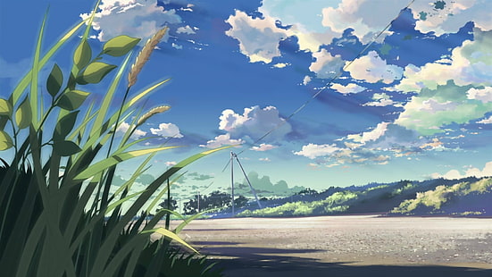 pintura de hierba y nubes, 5 centímetros por segundo, Makoto Shinkai, juncos, anime, Fondo de pantalla HD HD wallpaper