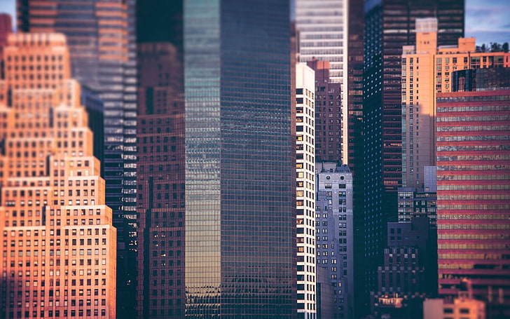 skyscraper lot, skyscrapers, city, skyline, HD wallpaper