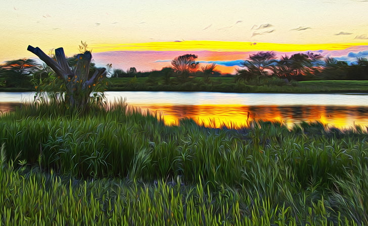 Wetlands Hallucination, green grass field, Artistic, Drawings, Lawrence, Kansas, Baker Wetlands, Wakarusa River, Mitigation Area, Oil Paint Filter, HD wallpaper