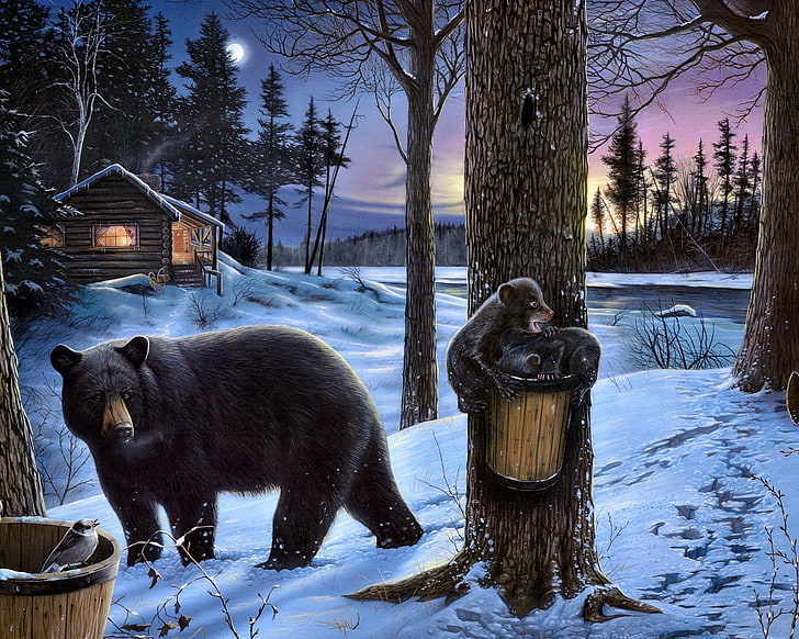 الدب الأسود يمشي على غابة مغطاة بالثلوج بالقرب من الدلاء على لوحة الشجرة ، الدب ، الغابة ، الدببة ، المنزل ، الأسرة ، المشي ، الأكل، خلفية HD