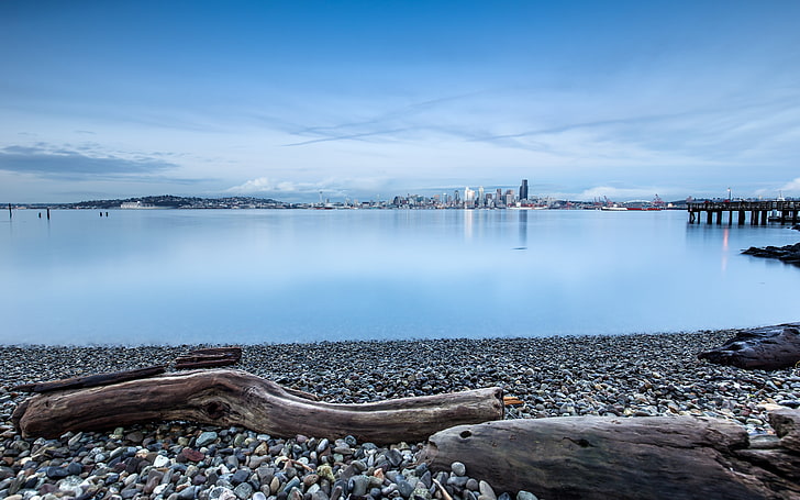 silver-colored chain necklace, coast, driftwood, pebbles, calm, water, lake, Seattle, cityscape, HD wallpaper
