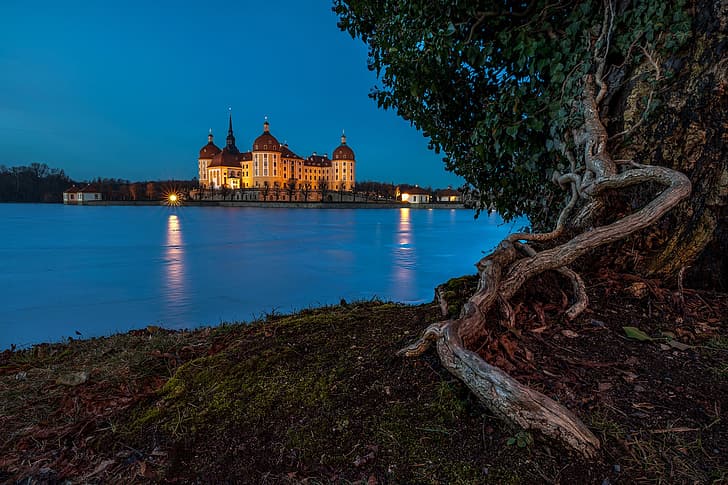 lake, castle, tree, Germany, Saxony, Moritzburg, Moritzburg Castle, HD wallpaper