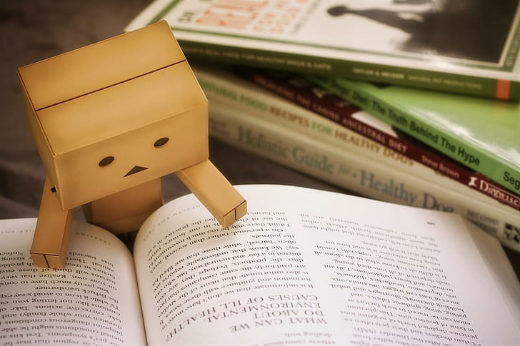 danbo, cardboard robot, book, reading, danbo, cardboard robot, book, reading, HD wallpaper