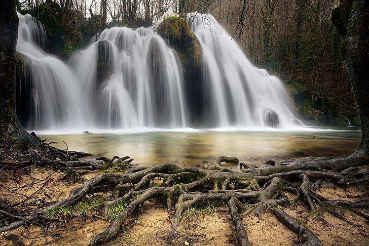 roots, river, tree, waterfall, HD wallpaper