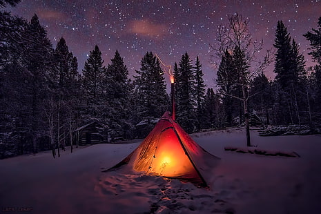 красная палатка, зима, снег, палатка, небо, деревья, ночь, лес, HD обои HD wallpaper