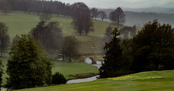 bridge, chatsworth, daffodils, derbyshire, hills, mist, river, theme calm, HD wallpaper