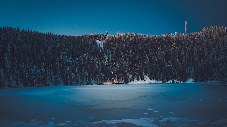 danau es, hutan, malam, biru, salju, es, Wallpaper HD
