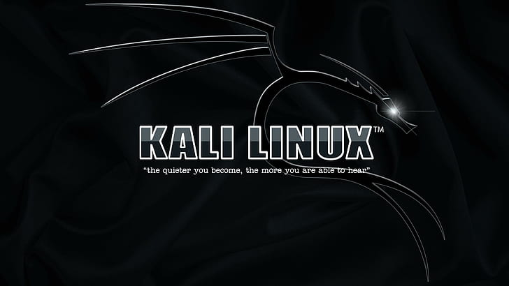 Kali Linux, High Tech, kali linux, high tech, HD wallpaper