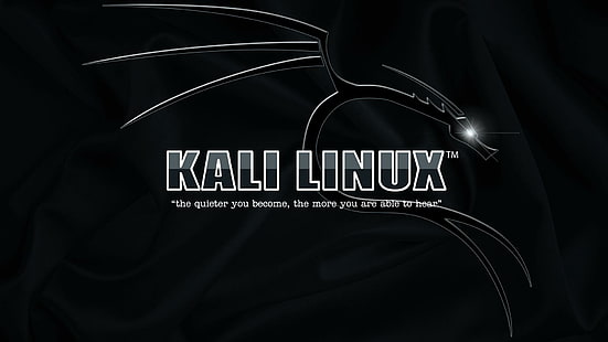 Kali Linux, Yüksek Teknoloji, kali linux, Yüksek teknoloji, HD masaüstü duvar kağıdı HD wallpaper