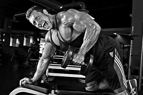 pose, muscle, musculation, entraînement, gym, culturiste, haltères, Biceps, Fond d'écran HD HD wallpaper