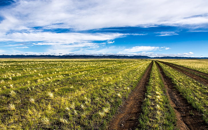 Mongolia, uno splendido scenario naturale, campo, cielo blu, nuvole, Mongolia, bello, natura, paesaggio, campo, blu, cielo, nuvole, Sfondo HD