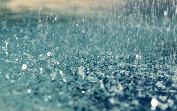 raindrops, rain, water drops, water, liquid, macro, HD wallpaper