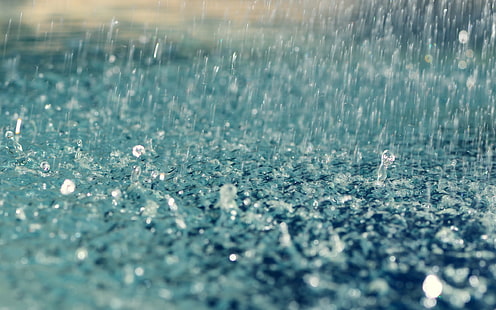 дъждовни капки, дъжд, капки вода, вода, течност, макро, HD тапет HD wallpaper