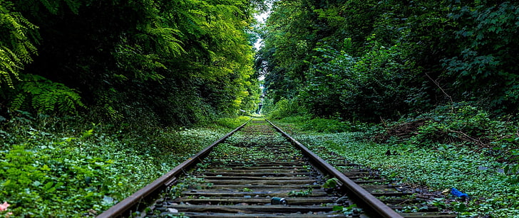 grå metall spår järnväg, järnväg, skog, HD tapet