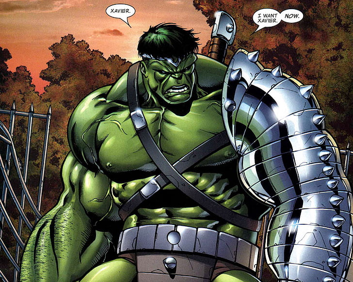 Hulk The Hulk Marvel HD, incredible hulk illustration, cartoon/comic, the, marvel, hulk, HD wallpaper