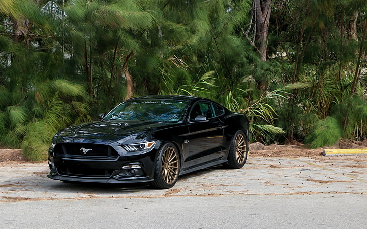 black Ford Mustang coupe, Ford, car, Ford Mustang, HD wallpaper