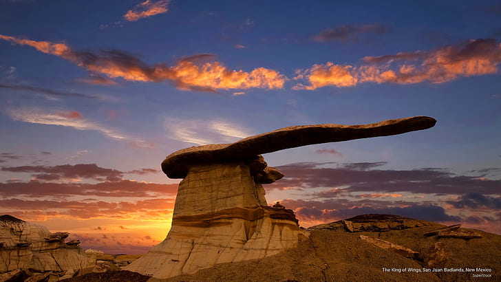 Der König der Flügel, San Juan Badlands, New Mexico, Natur, HD-Hintergrundbild