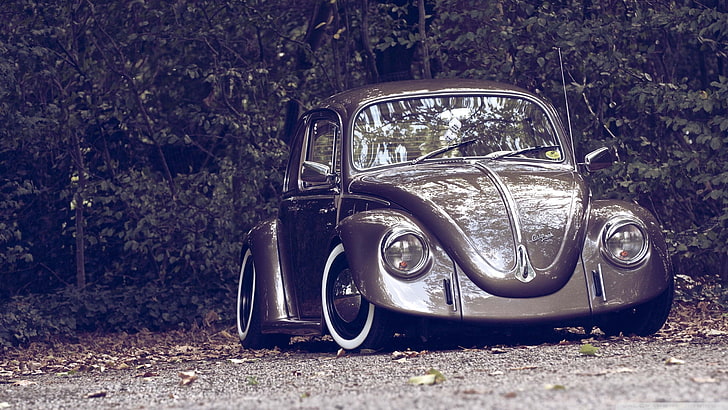 Volkswagen Beetle, Volkswagen, camber, nature, custom, HD wallpaper