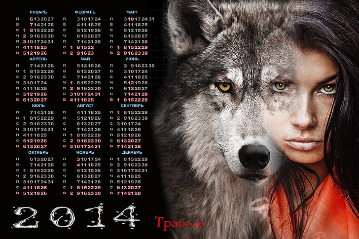 2014, kalender, sendirian, serigala, Wallpaper HD