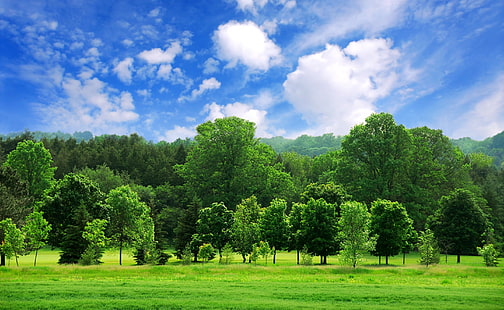 Bellissimo paesaggio estivo, alberi a foglia verde, stagioni, estate, natura, bello, paesaggio, verde, alberi, foresta, nuvole, Sfondo HD HD wallpaper