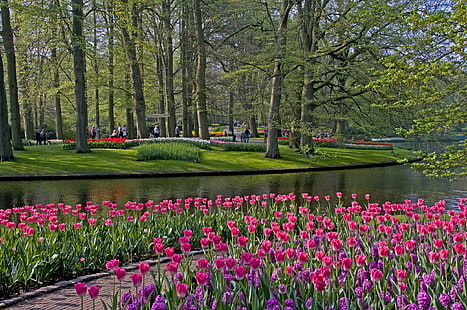 трава, деревья, цветы, пруд, парк, тюльпаны, Нидерланды, Кёкенхоф, Лиссе, HD обои HD wallpaper