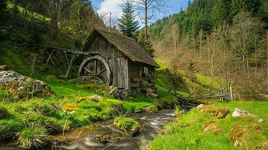 black forest, germany, mill, creek, stream, reichenbach, hornberg, baden-wurttemberg, baden wurttemberg, europe, valley, old mill, abandoned, forest, HD wallpaper HD wallpaper