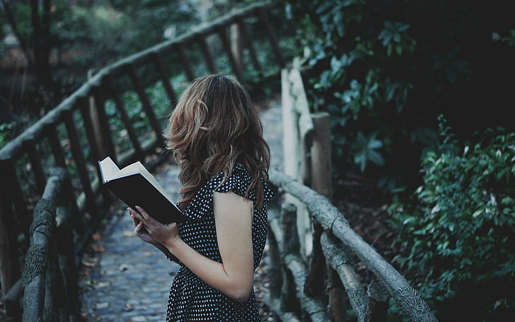 فتاة كتاب جسر المزاج ، فتاة ، كتاب ، جسر ، مزاج، خلفية HD