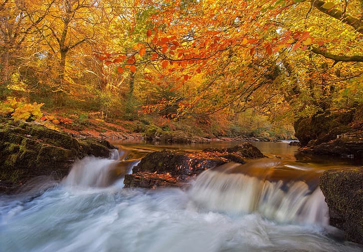 autumn, forest, trees, river, England, waterfall, Devon, Dartmoor National Park, Dart River, The River Dart, HD wallpaper