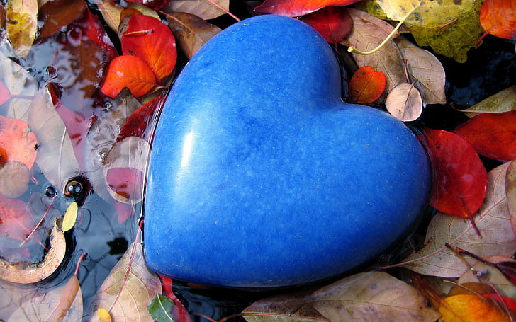 leaves, water, love, blue, mood, stone, heart, feelings, color, puddle, form, HD wallpaper