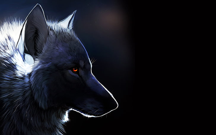 серый волк, волк, черный фон, янтарные глаза, HD обои