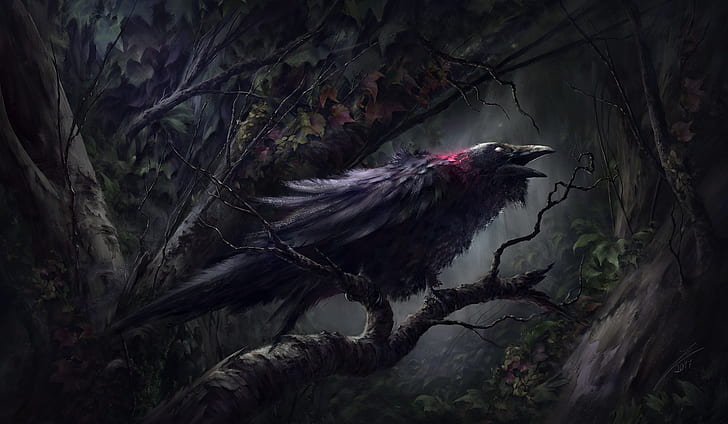 sangue, foresta oscura, nel buio, maledetto posto, corvo nero, Sfondo HD