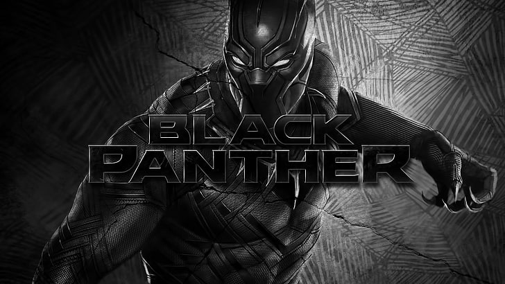 Papier peint Black Panther, Black Panther, Marvel Comics, Fond d'écran HD