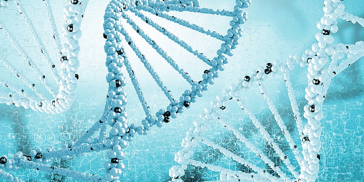 white and blue DNA wallpaper, science, spiral, DNA. formula, HD wallpaper