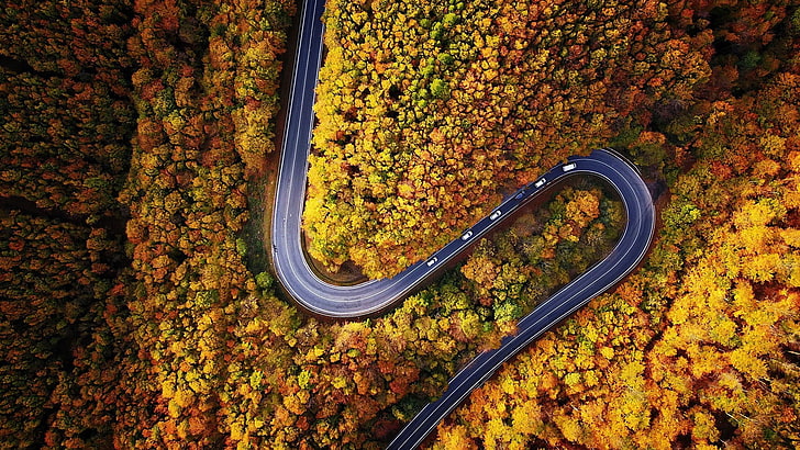 road, bend, autumn, drone view, aerial photography, aerial view, forest, turn, highway, HD wallpaper