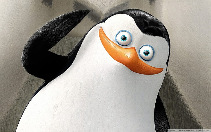 Os pinguins de Madagascar, pinguins de Madagascar, pinguim, desenho animado, filme, HD papel de parede