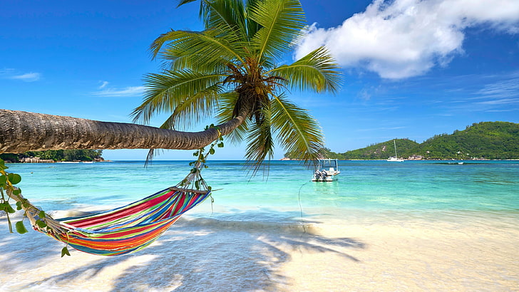 tropics, caribbean, coastal and oceanic landforms, sea, beach, vacation, shore, sky, leisure, ocean, palm tree, lagoon, hammock, HD wallpaper