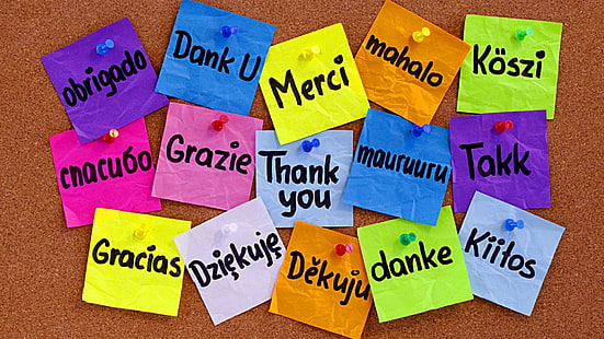diga obrigado, diferentes idiomas, obrigado, HD papel de parede HD wallpaper